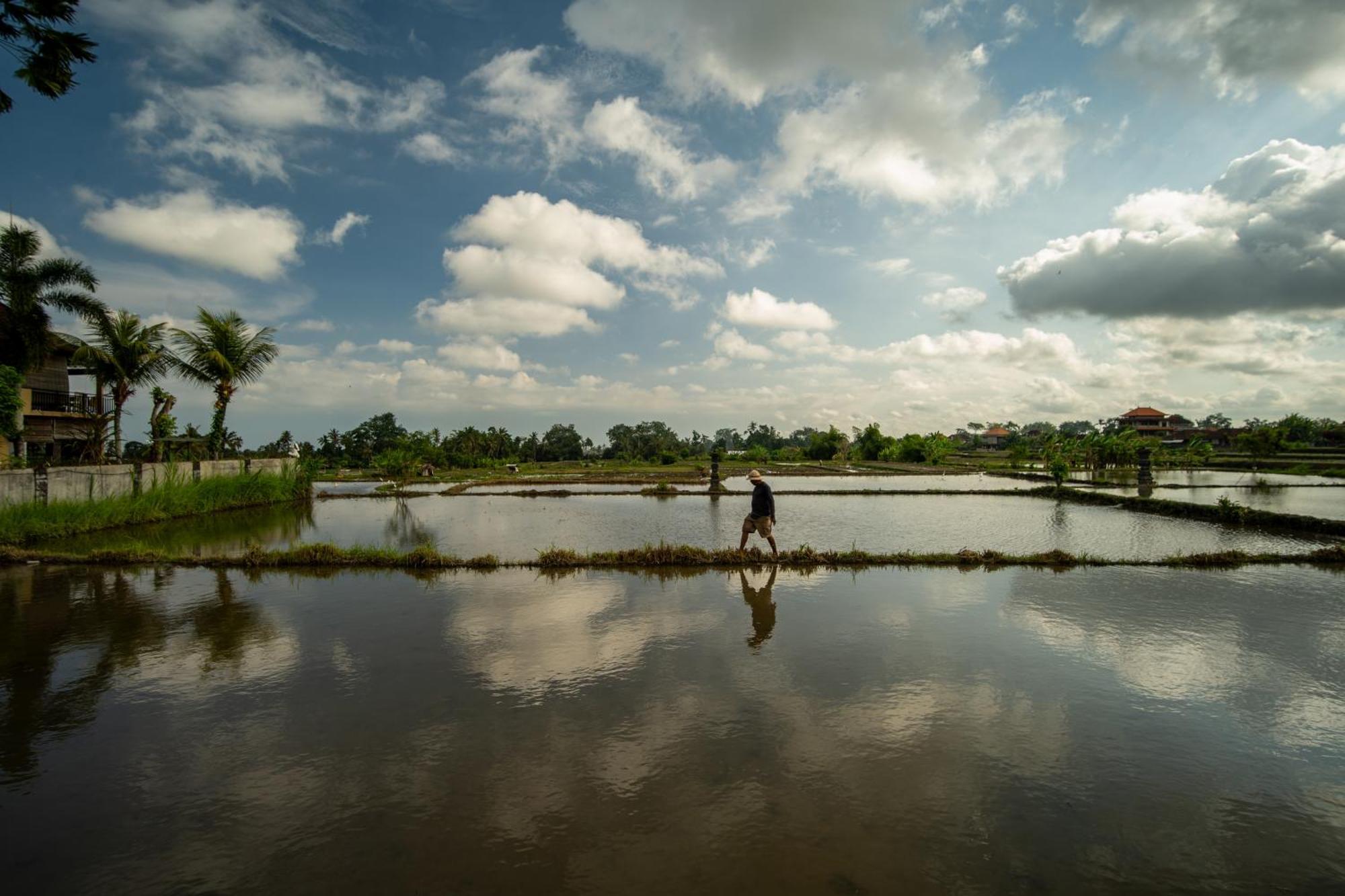 Kubu Sari Ubud ภายนอก รูปภาพ